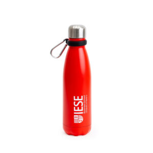 Stainless Steel Bottle