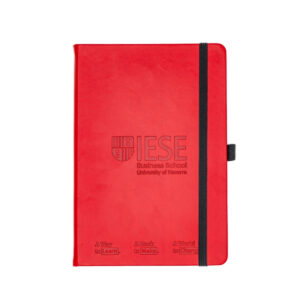 IESE Notebook